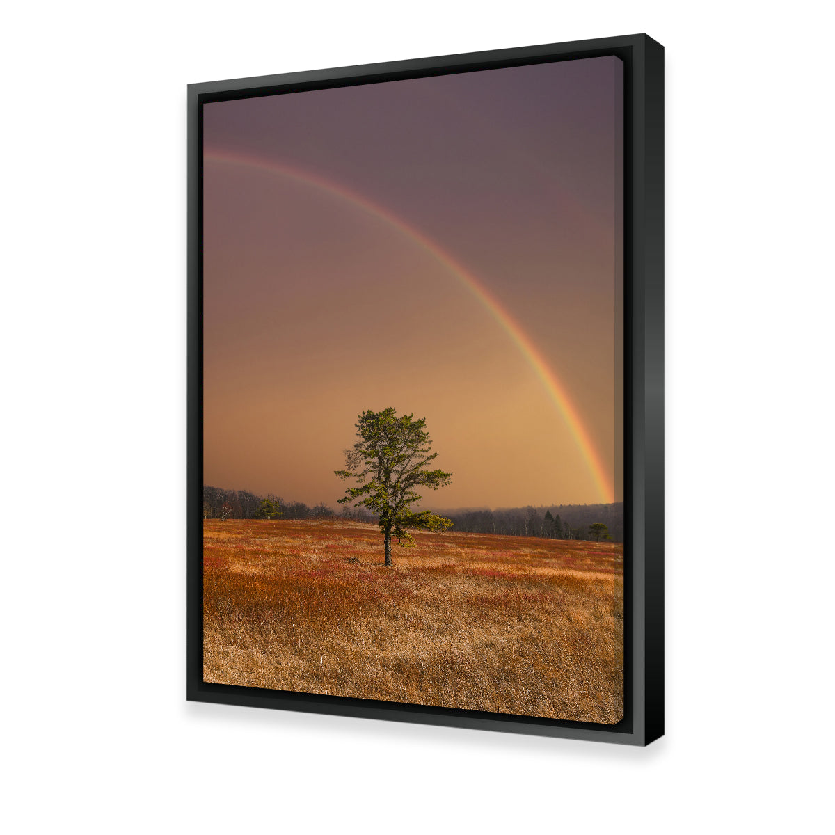 Stunning Big Meadows Wall Art by Dennis Maida