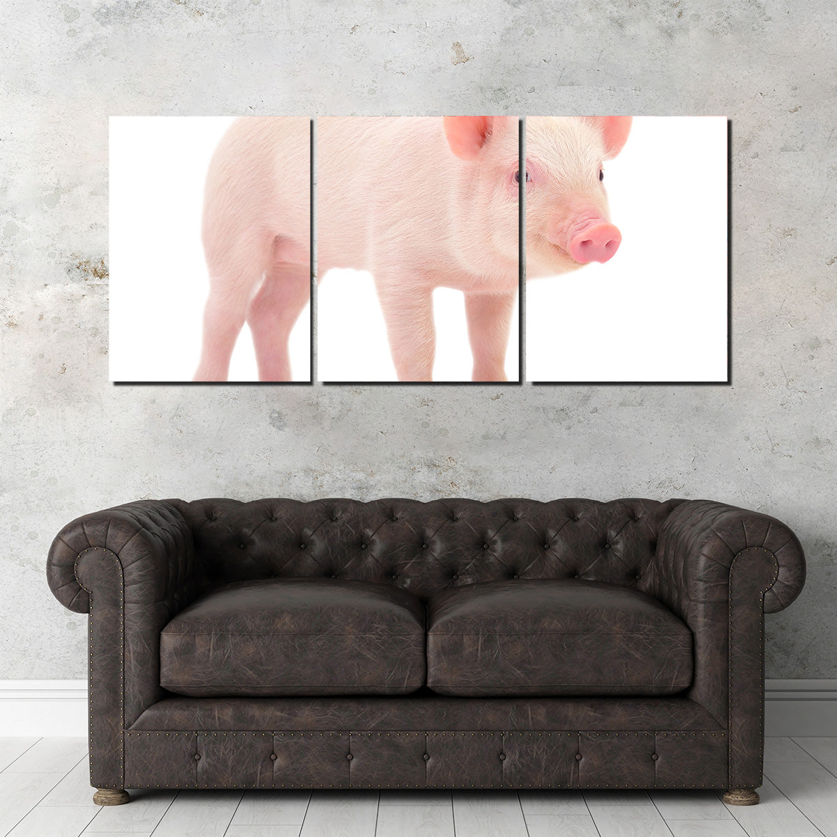 Adorable Baby Pig Canvas Print