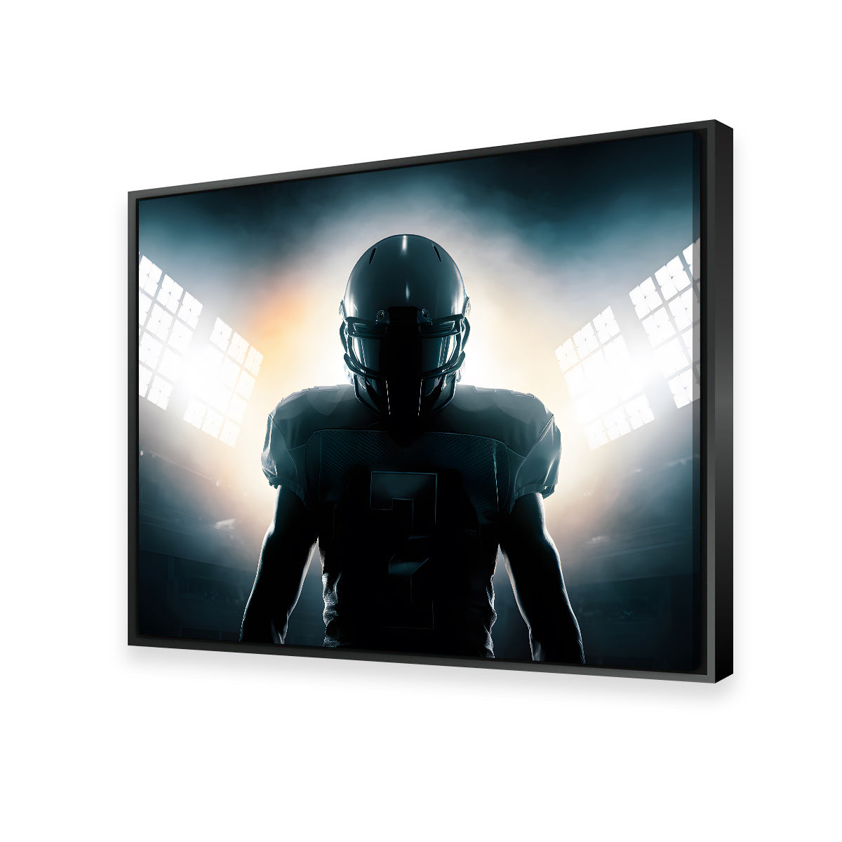 In the Zone Premium Wall Art - Sustainable Kiln - Dried Pine Frame