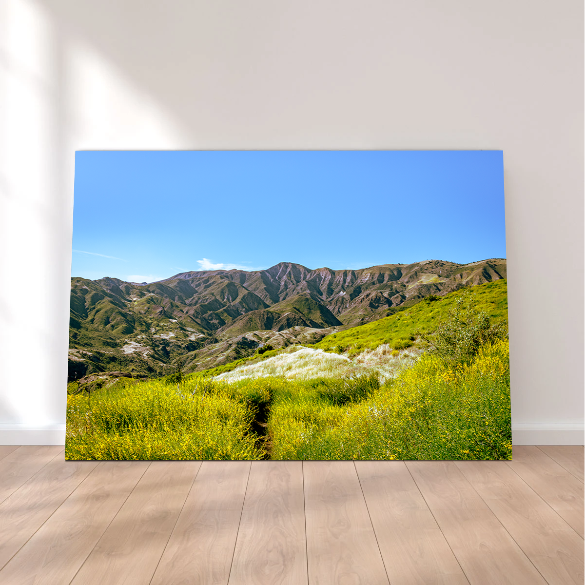 Stunning Alexander Peak Wall Art by Kyle Sherry