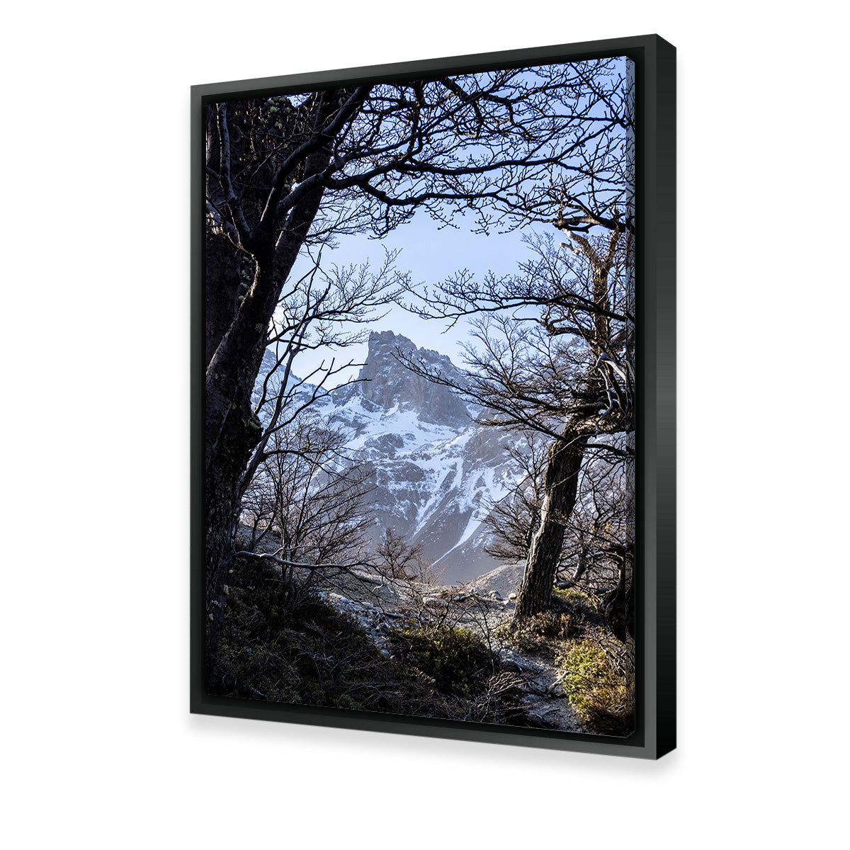 Exquisite Portal to Patagonia Canvas Print by Sofia Leite Fonseca