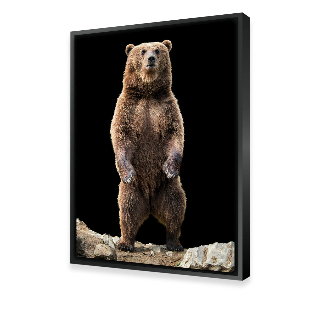 Stunning Big Brown Bear Standing Wall Art for Home Decor