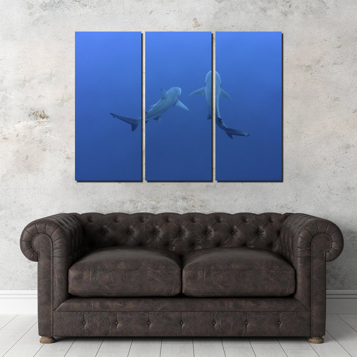 Stunning Shark Mates Wall Art - Museum Quality Decor