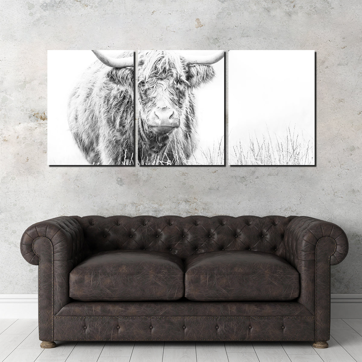 Stunning Highland Cow Wall Art on White Canvas