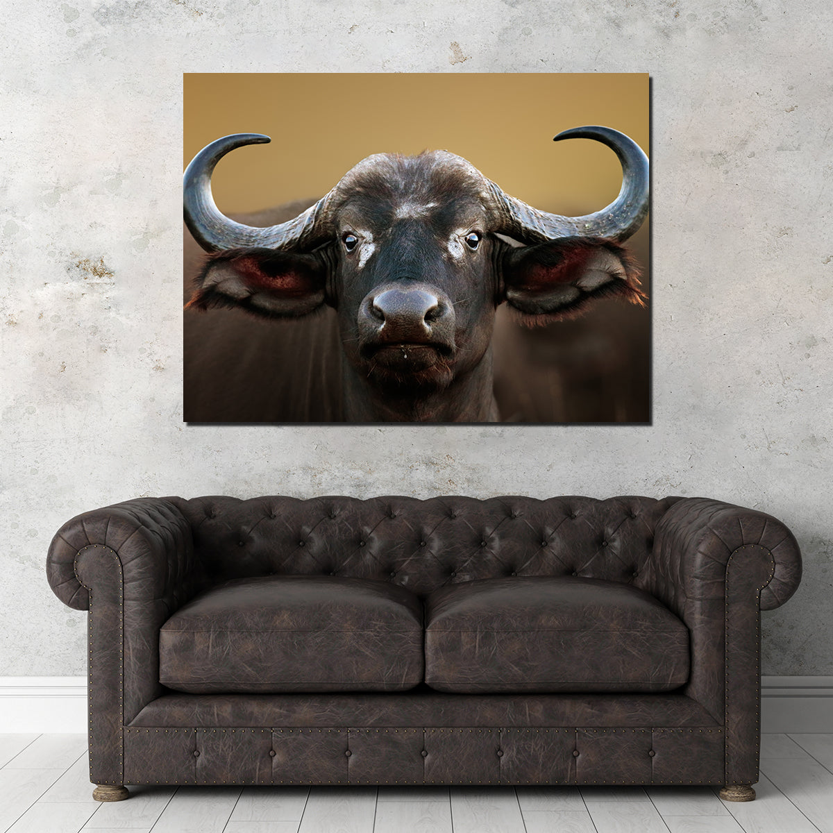 Stunning Cape Buffalo Wall Art from Kruger National Park