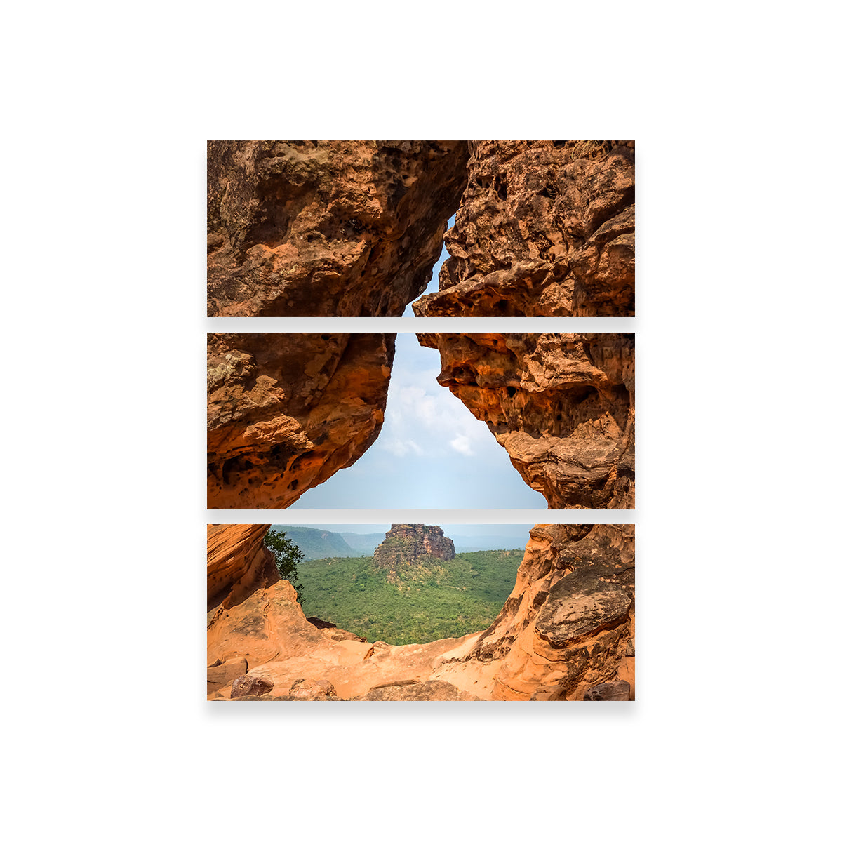 Exquisite Portal to Cerrado Wall Art by Sofia Leite Fonseca