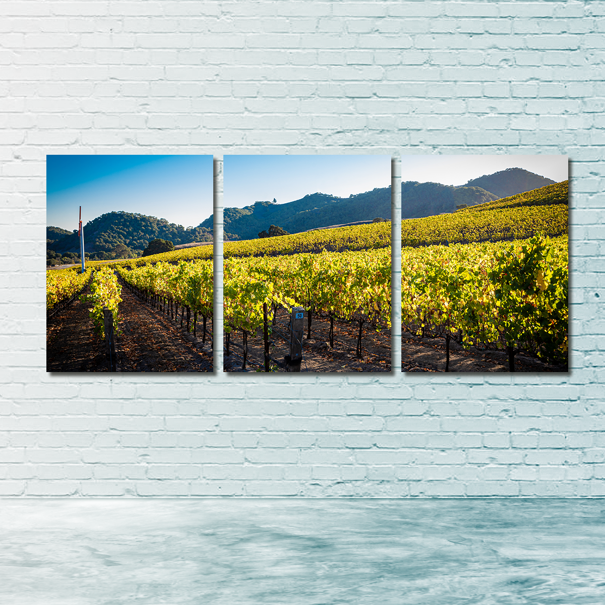 Stunning Central California Vineyard Wall Art for Your Home Decor