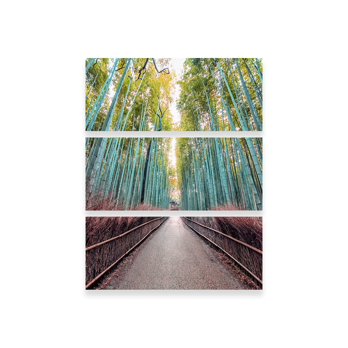 Exquisite Bamboo Alley Wall Art by Manjik Pictures