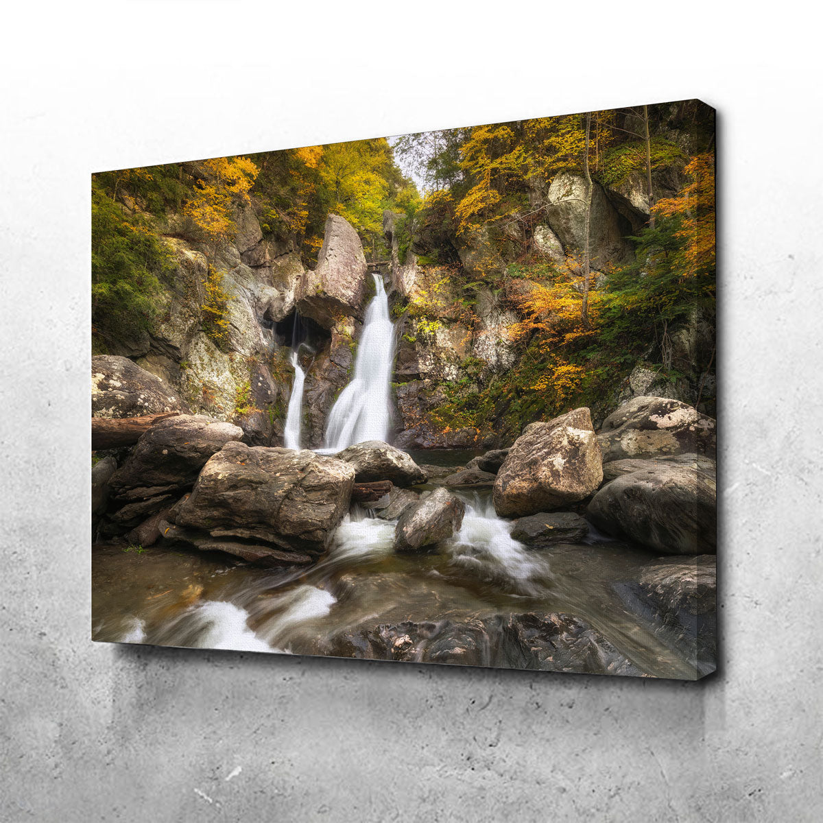 Autumn Treasure Wall Art - Exquisite Handmade Canvas Artwork by Shaun Mayer