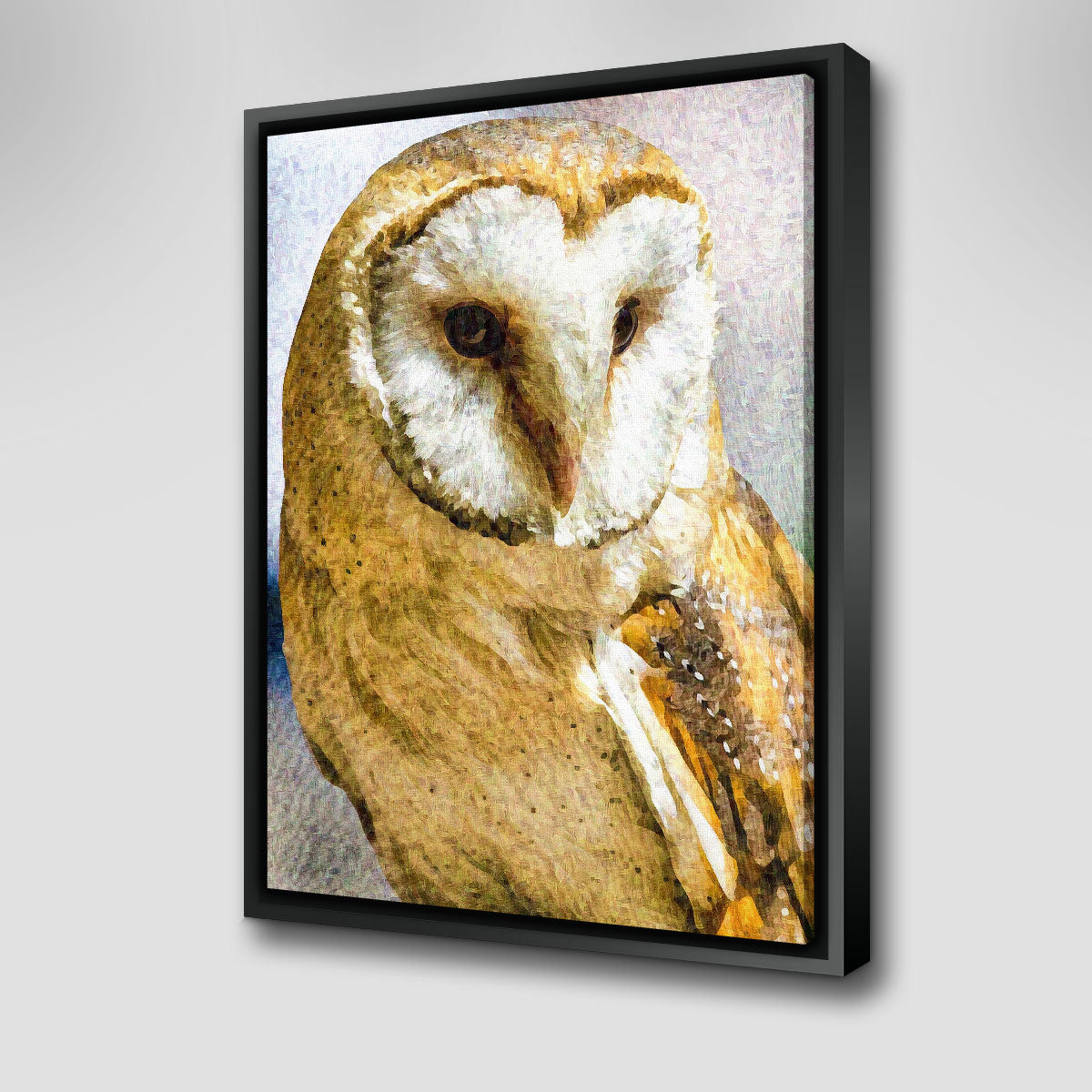 Exquisite Barn Owl Wall Art by Denise Dundon