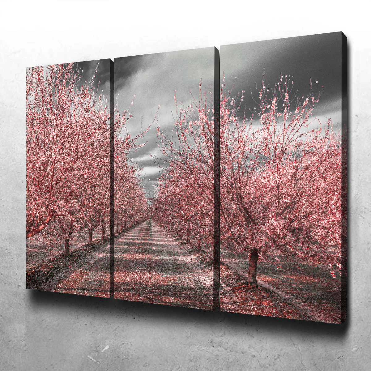 Stunning California Pink Blossoms Wall Art for Your Home Decor