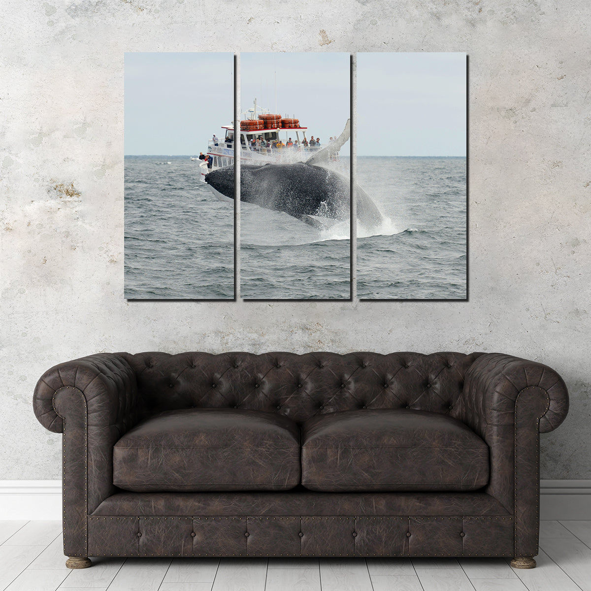 Stunning Humpback - Cape Cod Wall Art for Your Home Decor