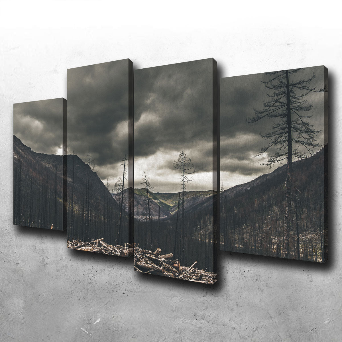 Stunning Ash and Clouds Wall Art by Mike Cotton