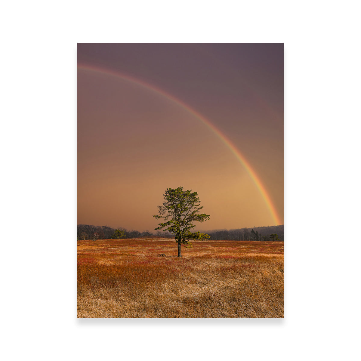 Stunning Big Meadows Wall Art by Dennis Maida