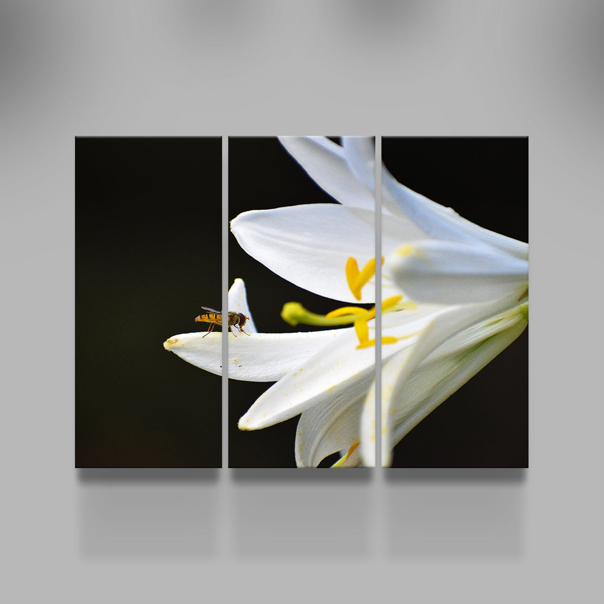 Exquisite Pollen Wall Art by George Sorin