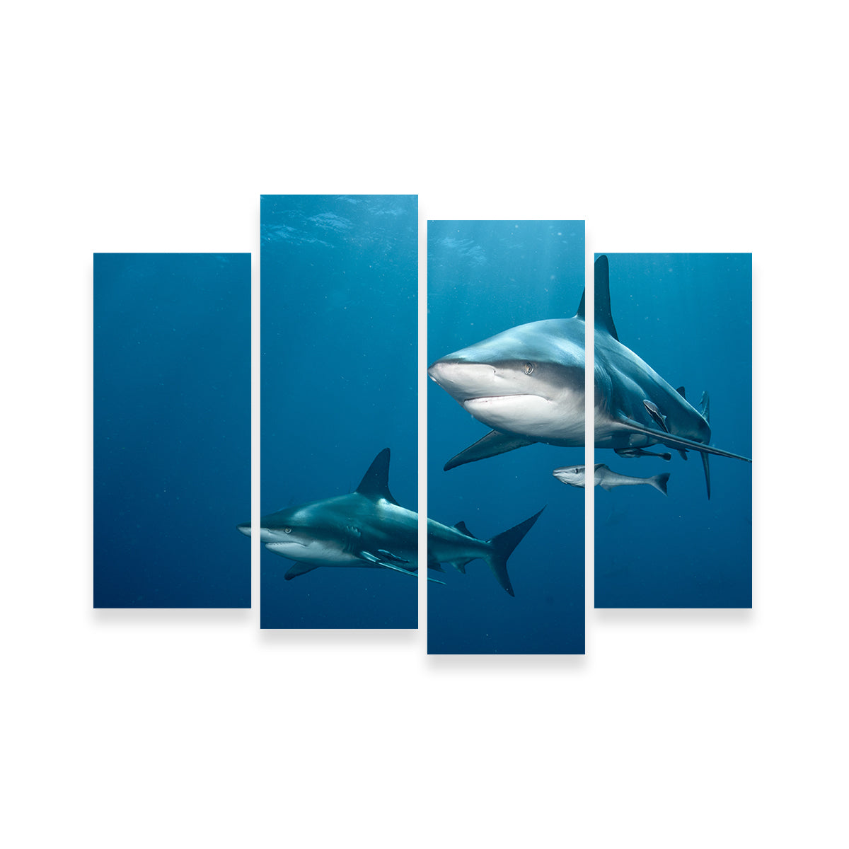 Exquisite Shark Pair Wall Art for Stunning Home Decor