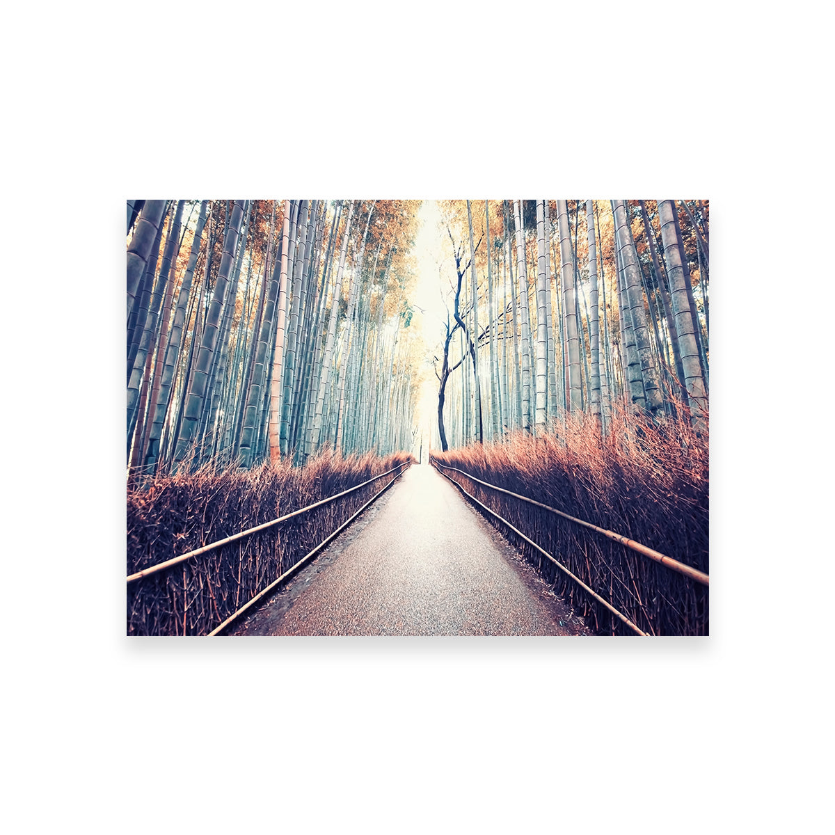 Exquisite Bamboo Forest Wall Art by Manjik Pictures