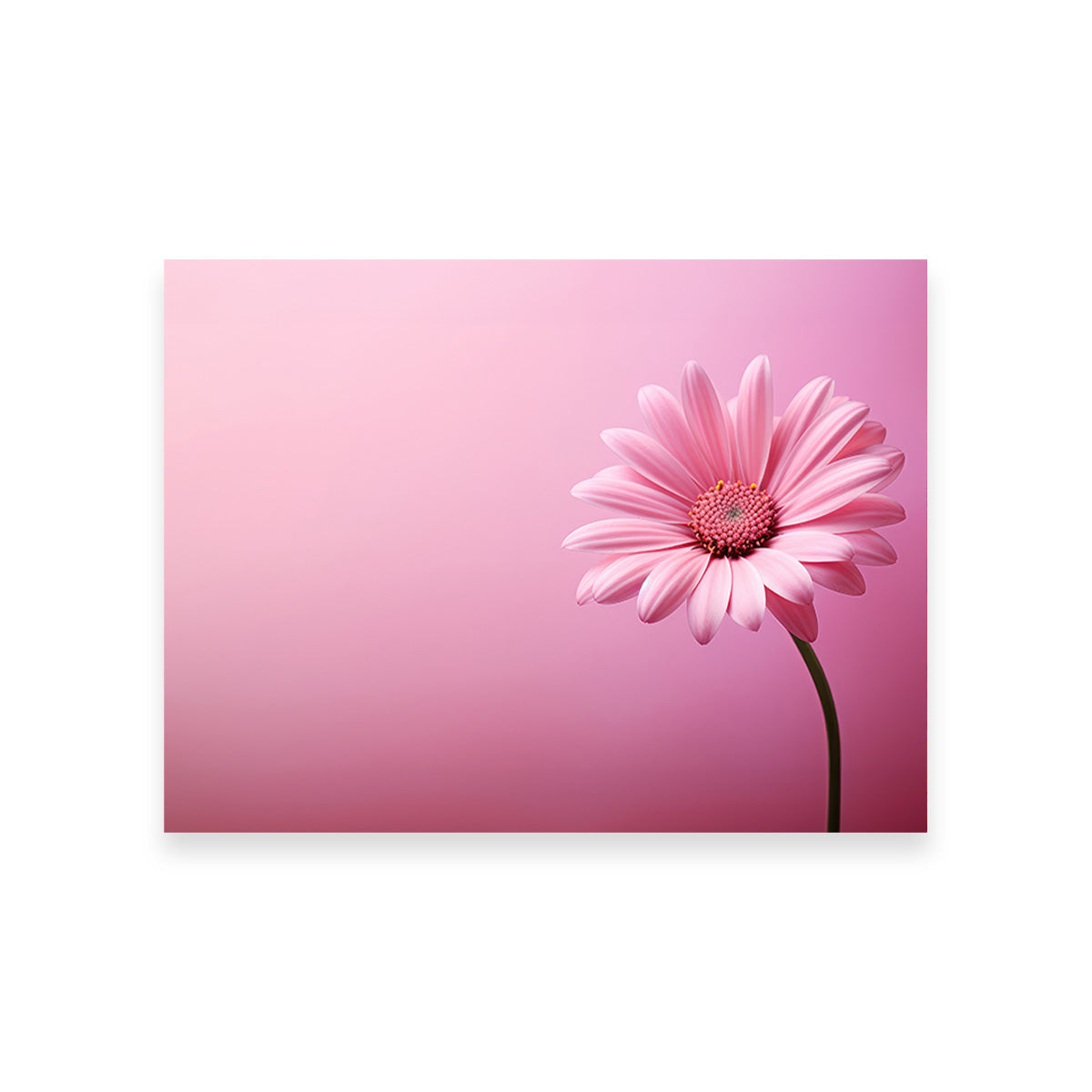 Gorgeous Pink Sunflower Wall Art