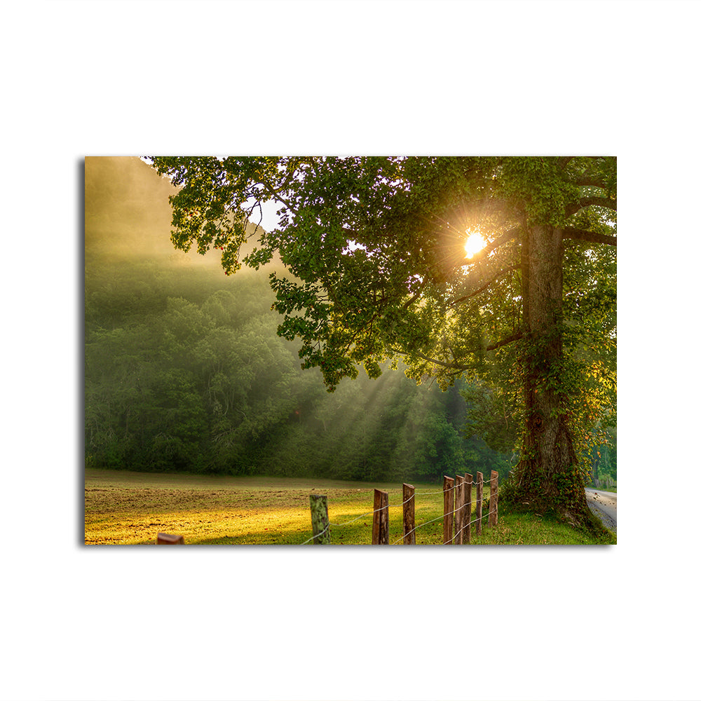 Stunning Cades Cove Wall Art for Home Decor