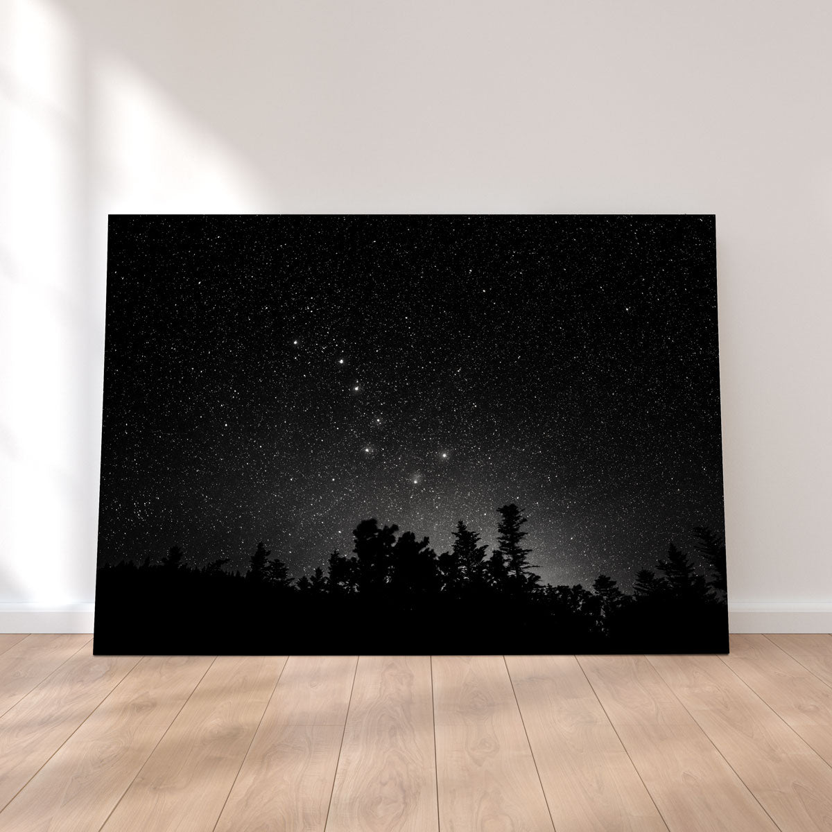 Exquisite Big Dipper Starry Night Wall Art by Dennis Maida