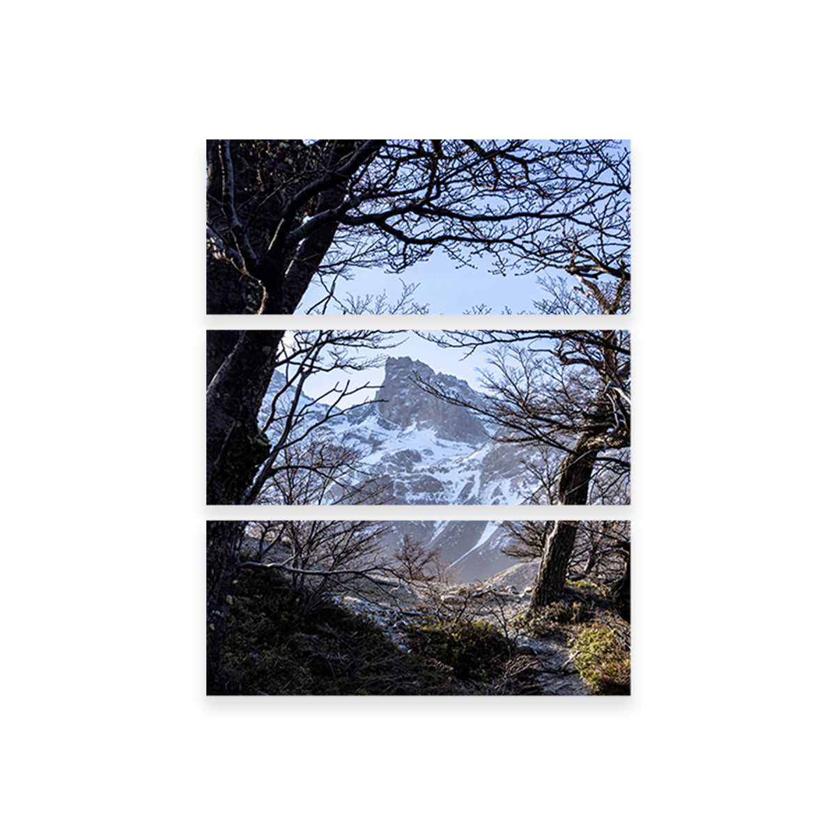 Exquisite Portal to Patagonia Canvas Print by Sofia Leite Fonseca