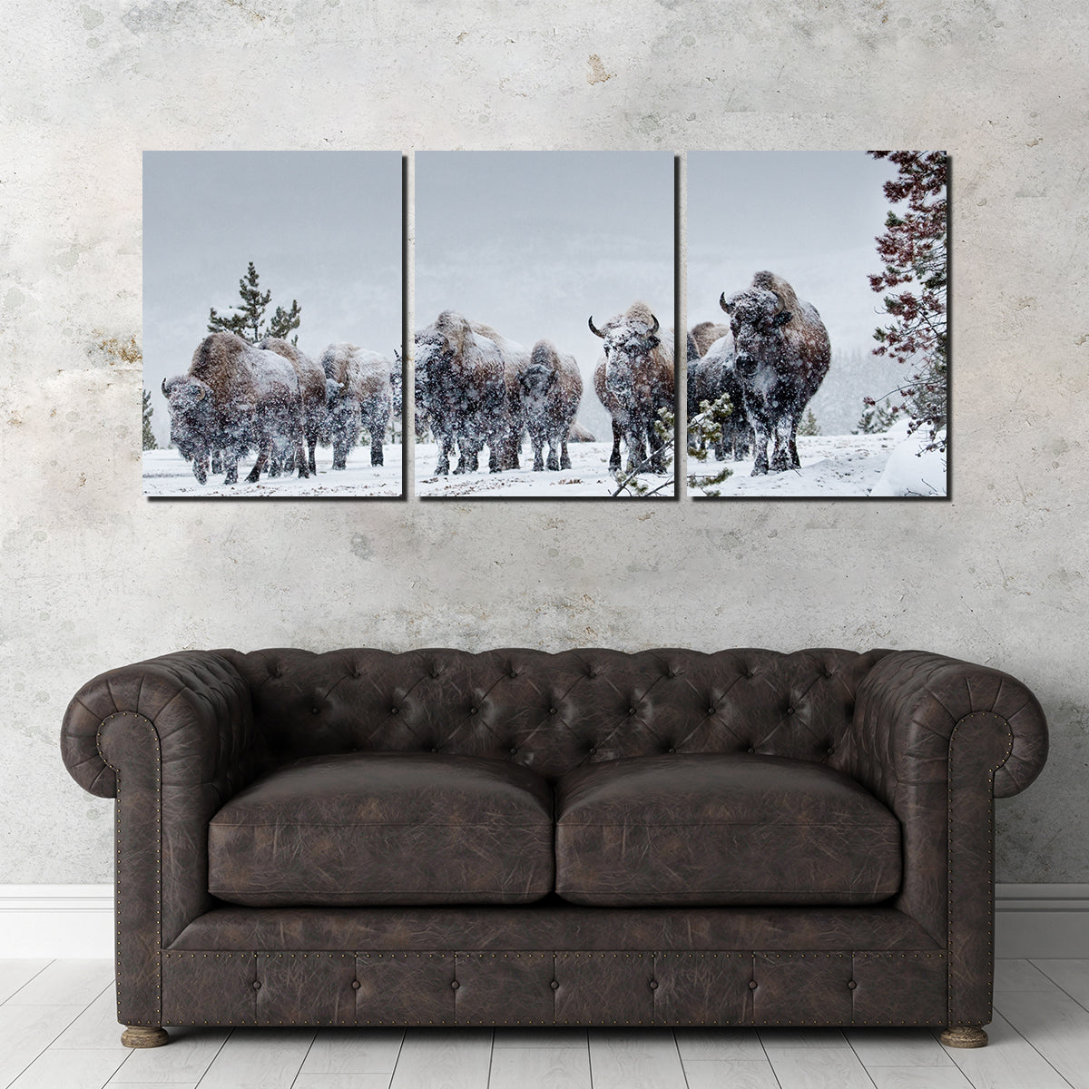 Stunning American Bison in Winter Snow Wall Art for Your Home Decor