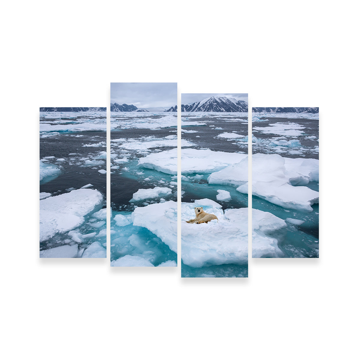 Stunning Polar Bear - Greenland Wall Art for Home Decor