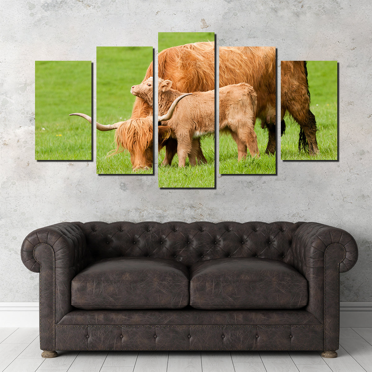 Charming Highland Cow with Adorable Loving Calf Wall Art for Stunning Home Decor