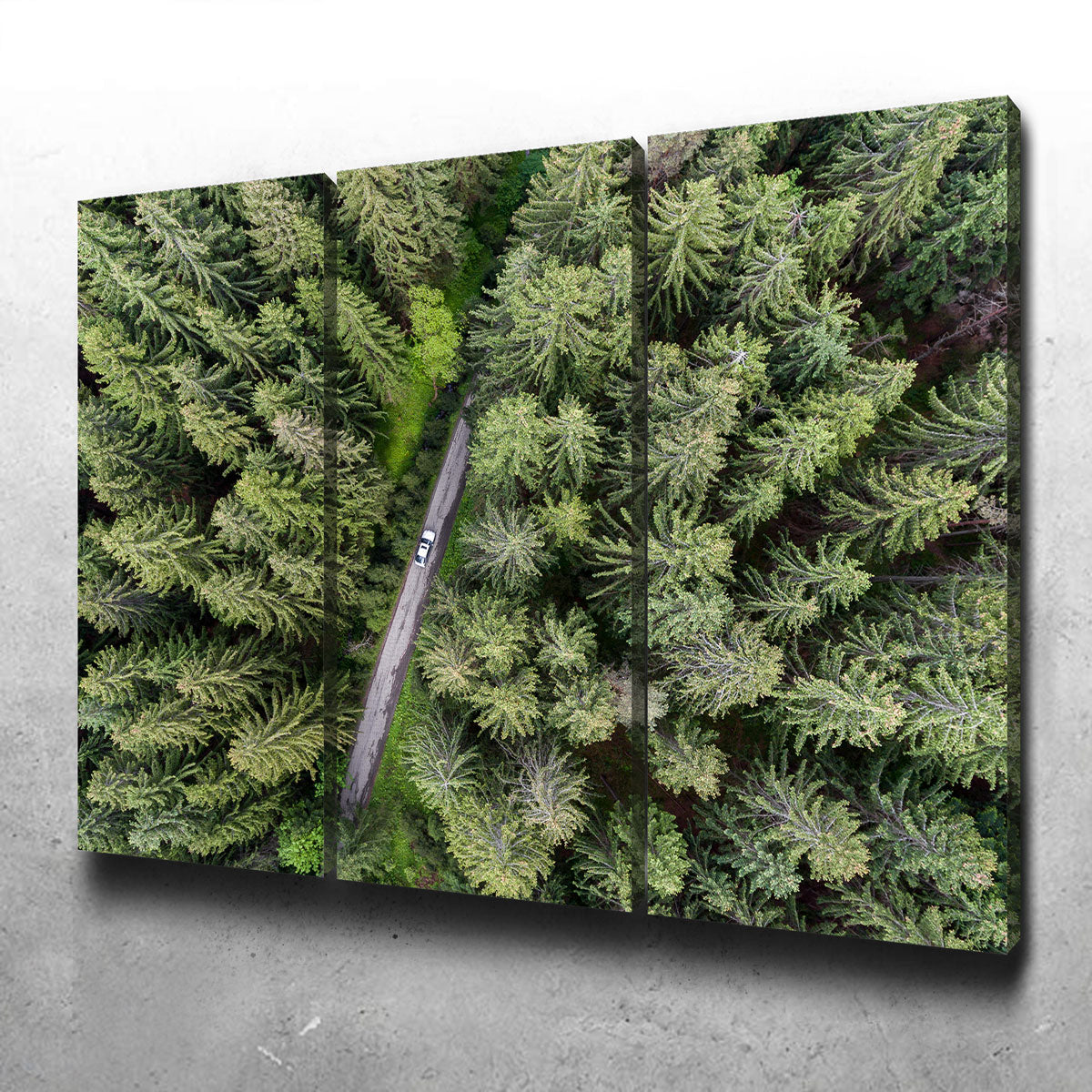 Stunning Hidden Road Wall Art by Karolis Janulis