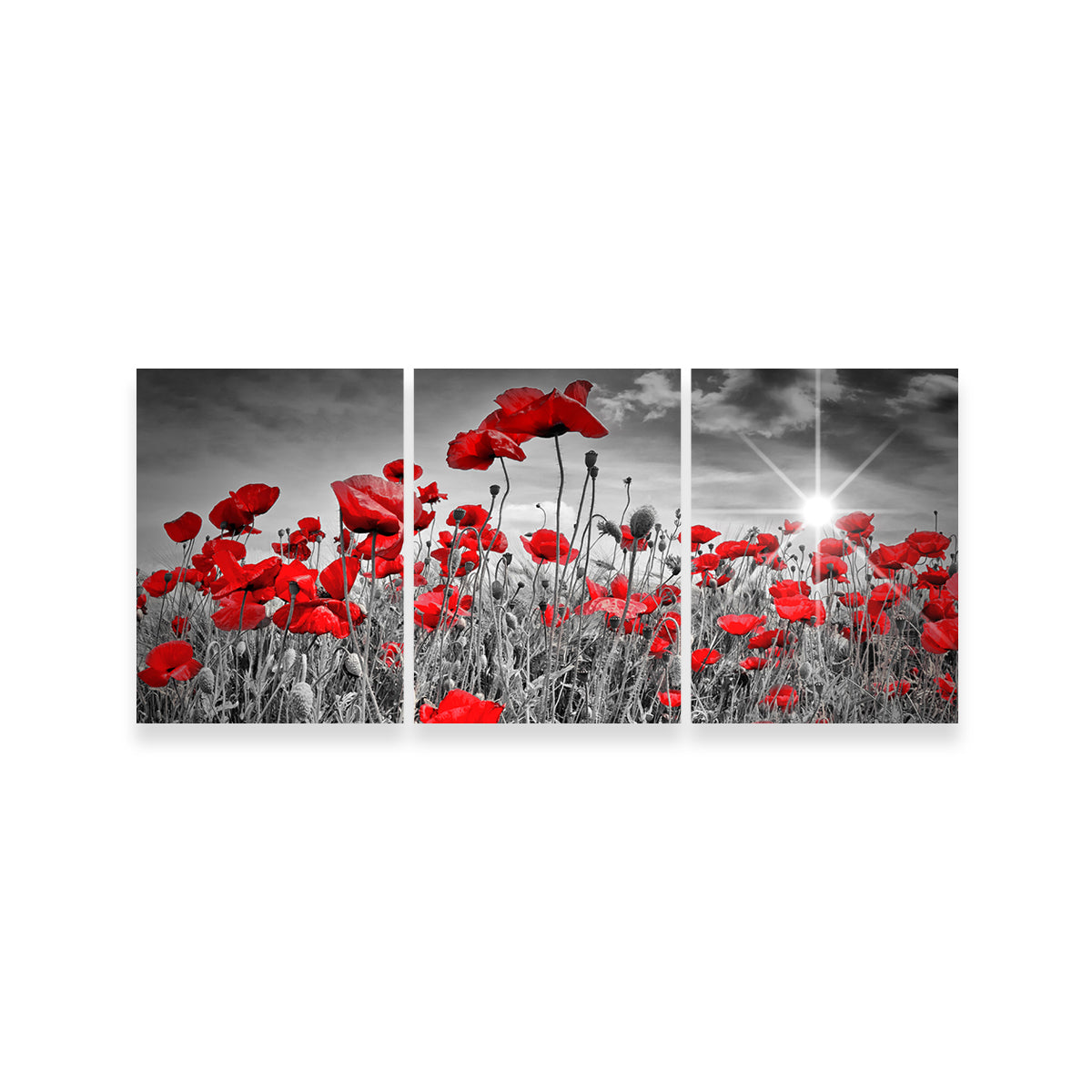 Stunning Idyllic Field of Poppies with Sun Wall Art for Home Decor