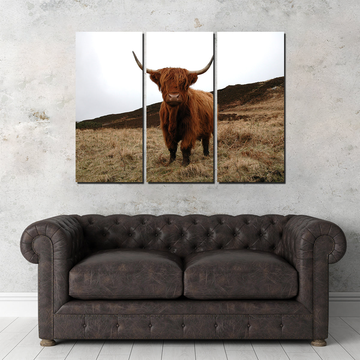 Gorgeous Highland Cow Wall Art Inspired by Northern Scotland