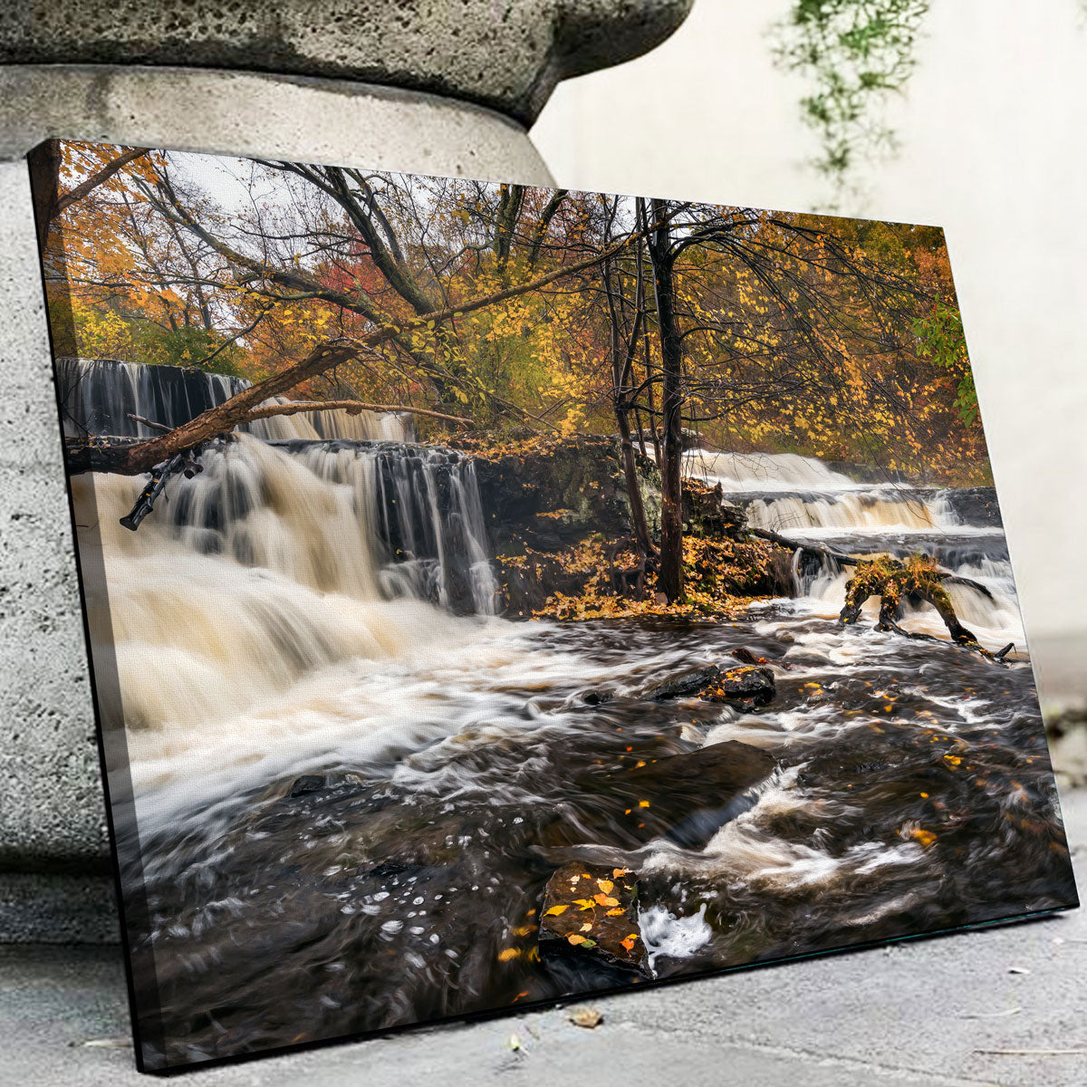 Eye - Catching Double Wall Art by Shaun Mayer