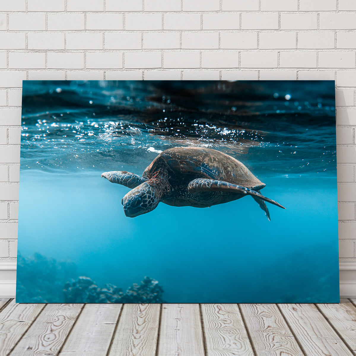 Exquisite Below the Surface Wall Art by Lucas Moore