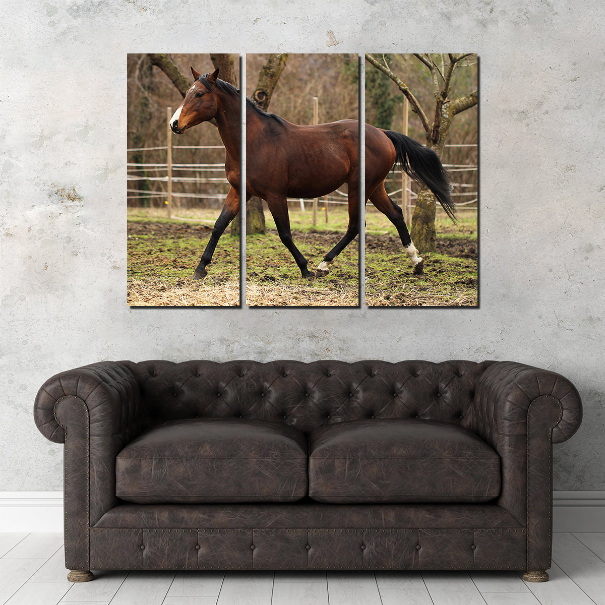 Exquisite American Quarter Horse Stallion Wall Art for Your Home Decor