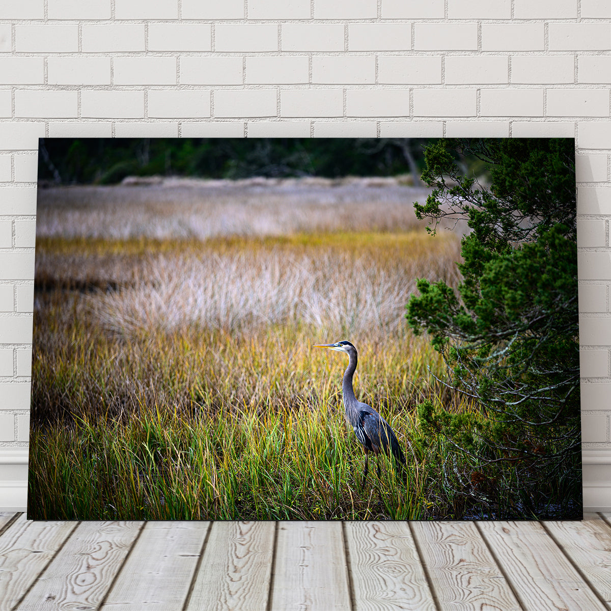 Stunning Heron Jekyll Island Wall Art by Barry Pack