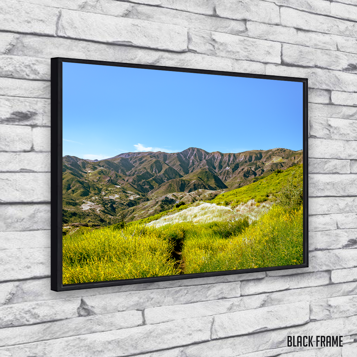 Stunning Alexander Peak Wall Art by Kyle Sherry
