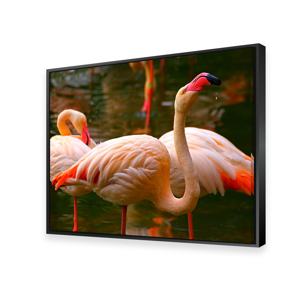 Stunning Pink Flamingo Birds Wall Art for Your Home Decor