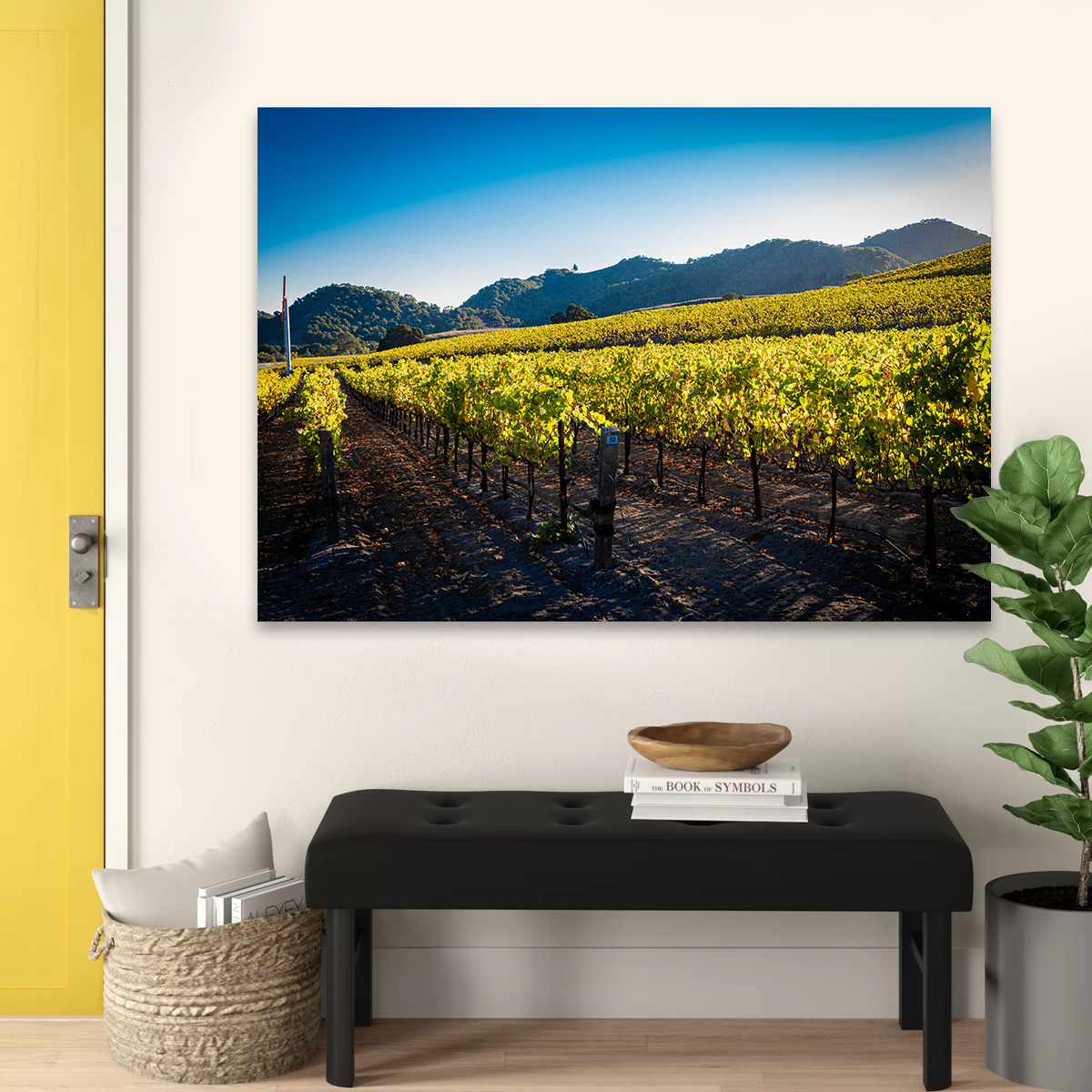 Stunning Central California Vineyard Wall Art for Your Home Decor