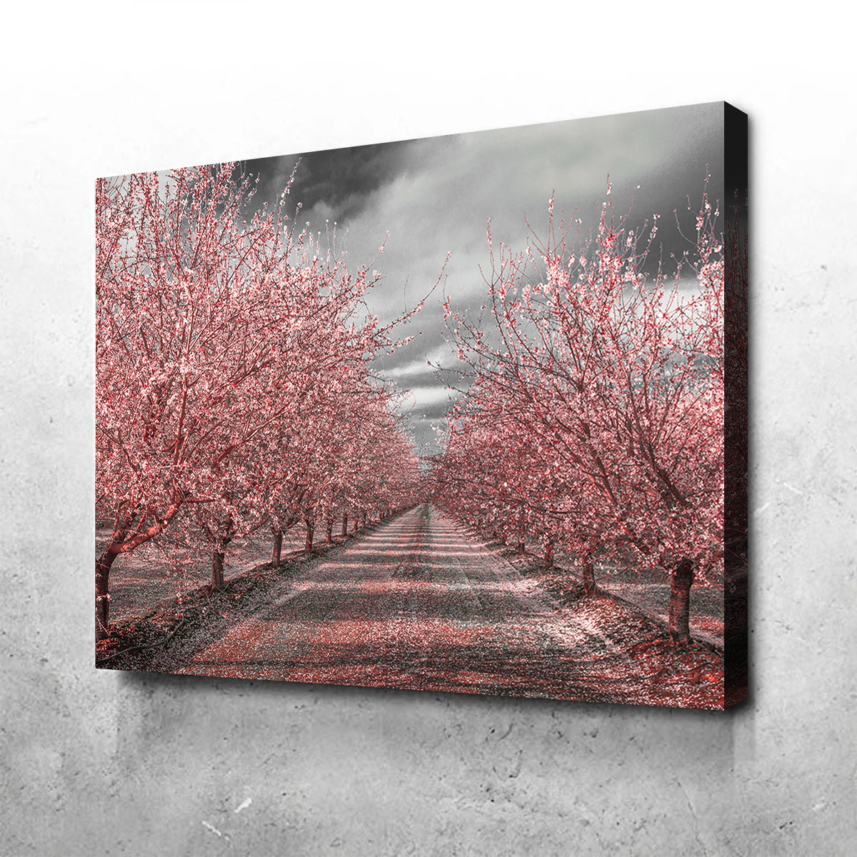 Stunning California Pink Blossoms Wall Art for Your Home Decor
