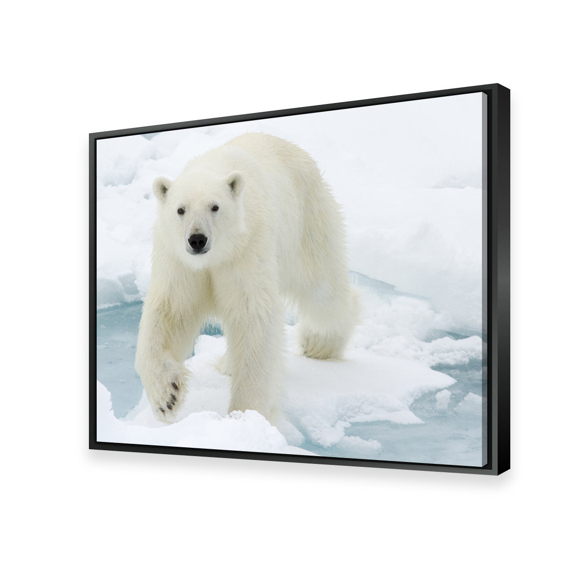Exquisite Polar Bear Wall Art for Stunning Home Decor