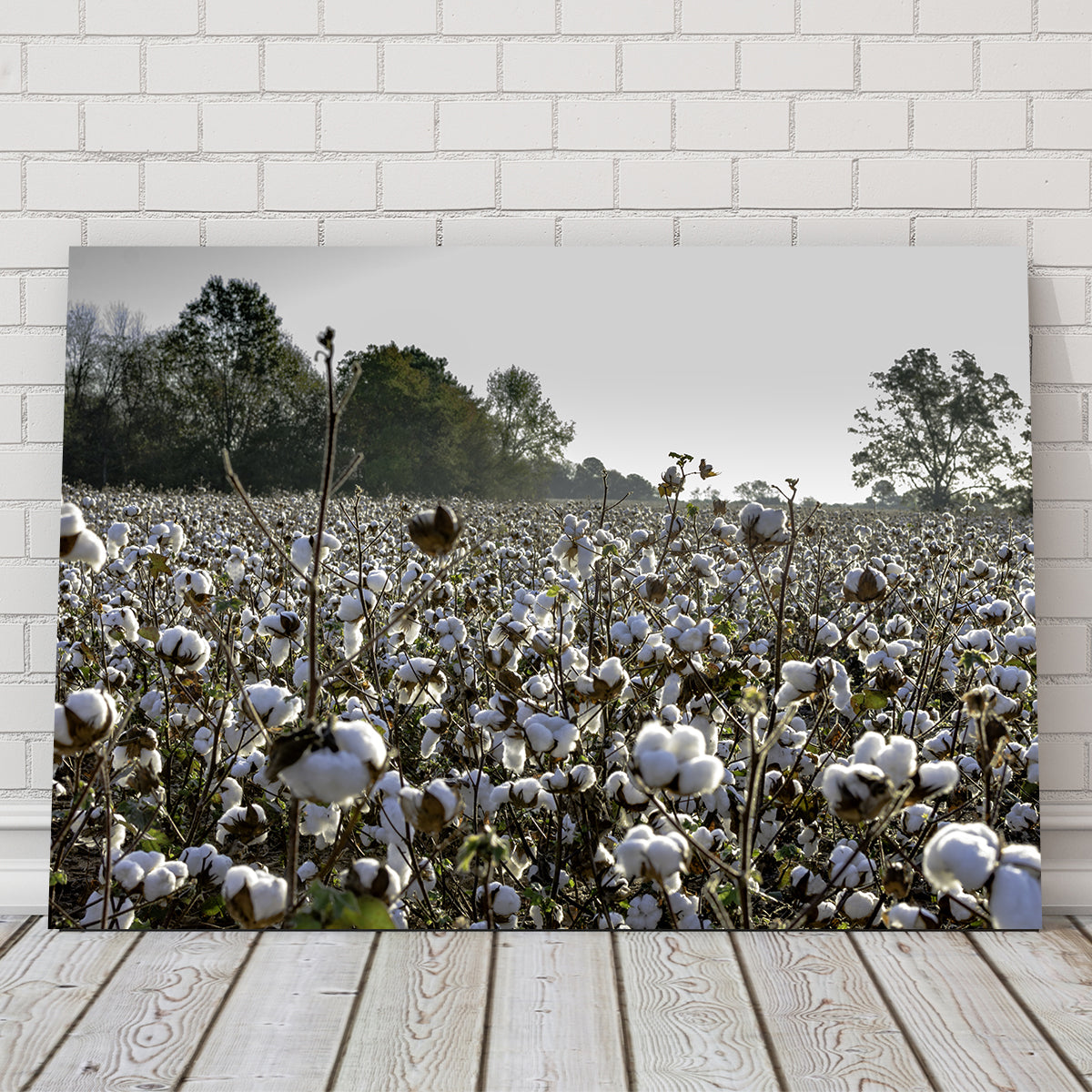 Stunning Alabama Cotton Field Wall Art for Your Home Decor