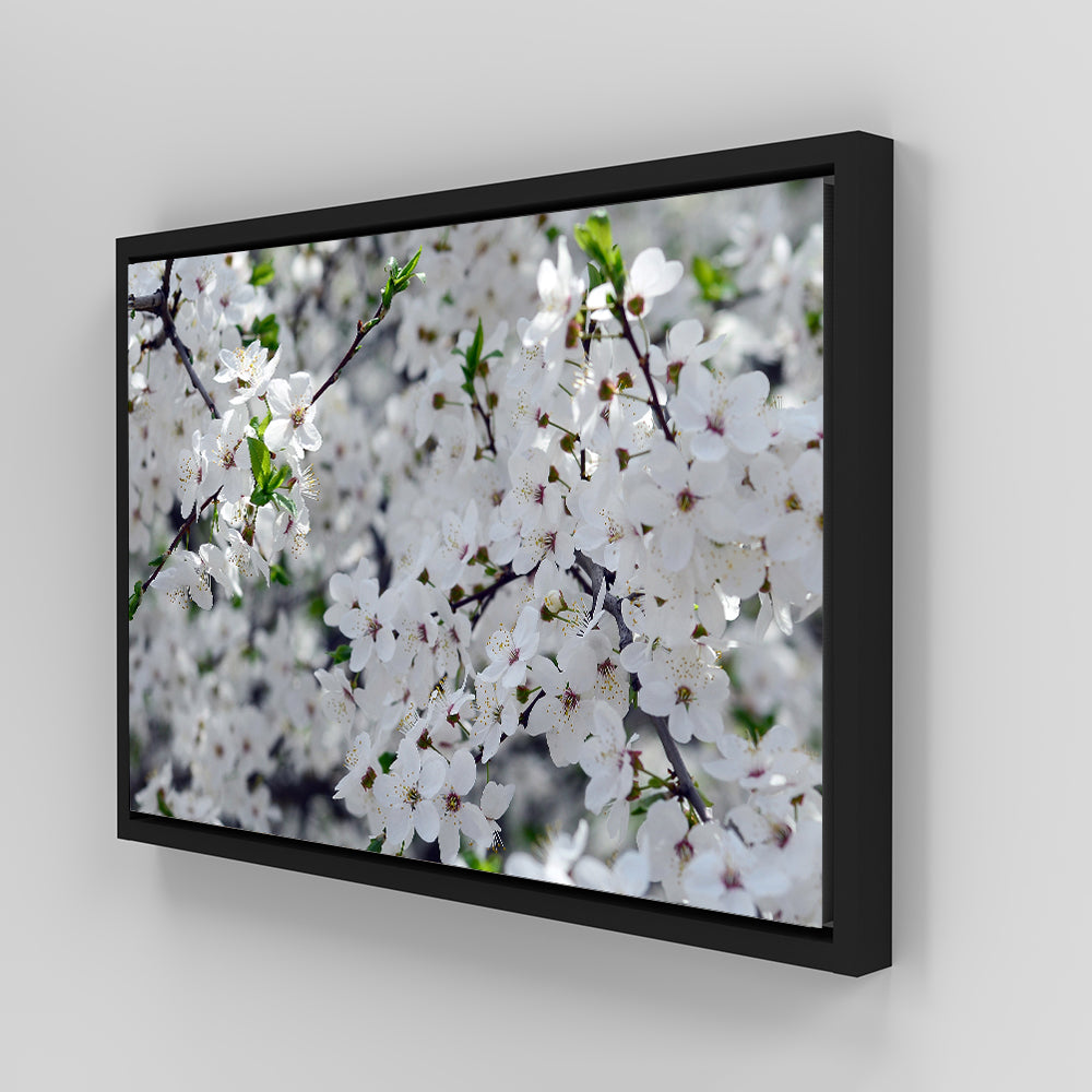 Gorgeous Apple Tree Blossoms Wall Art for Stunning Home Decor