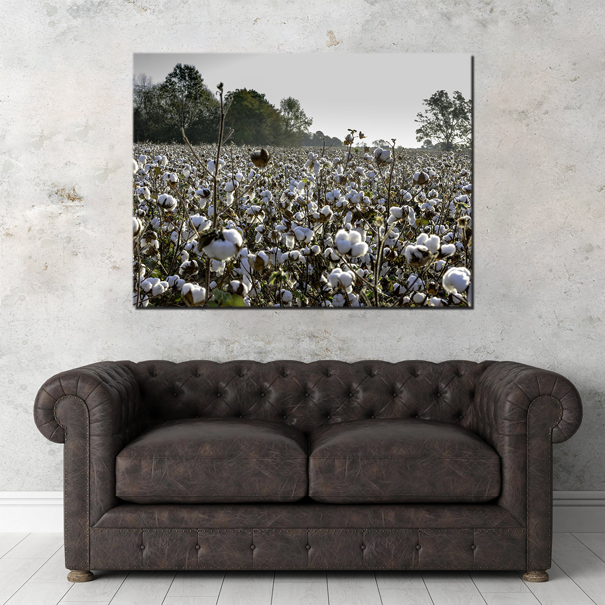 Stunning Alabama Cotton Field Wall Art for Your Home Decor