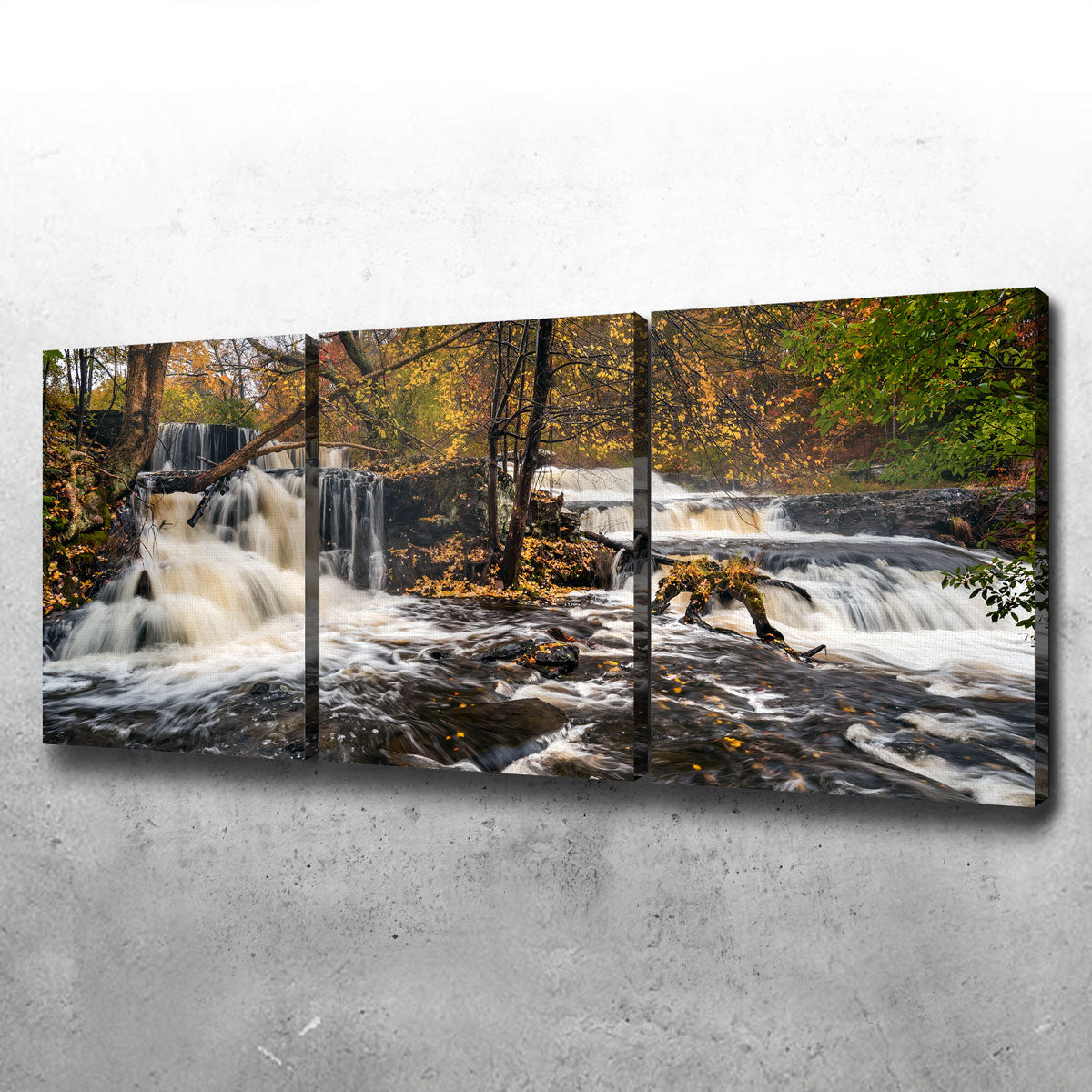 Eye - Catching Double Wall Art by Shaun Mayer