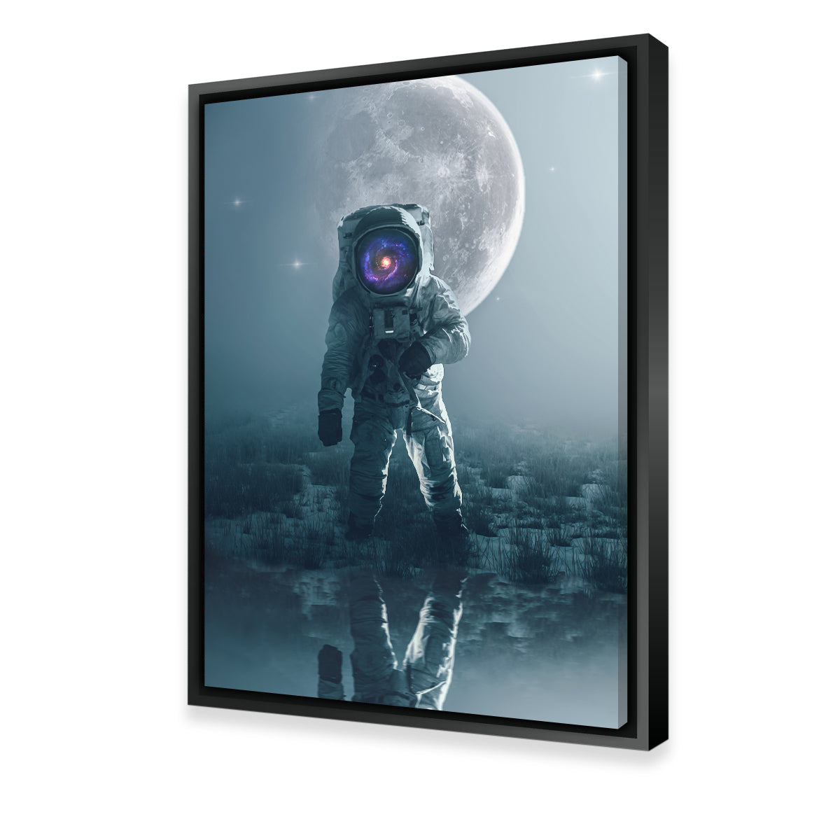 Stunning Astronaut Alone Wall Art by George Sorin