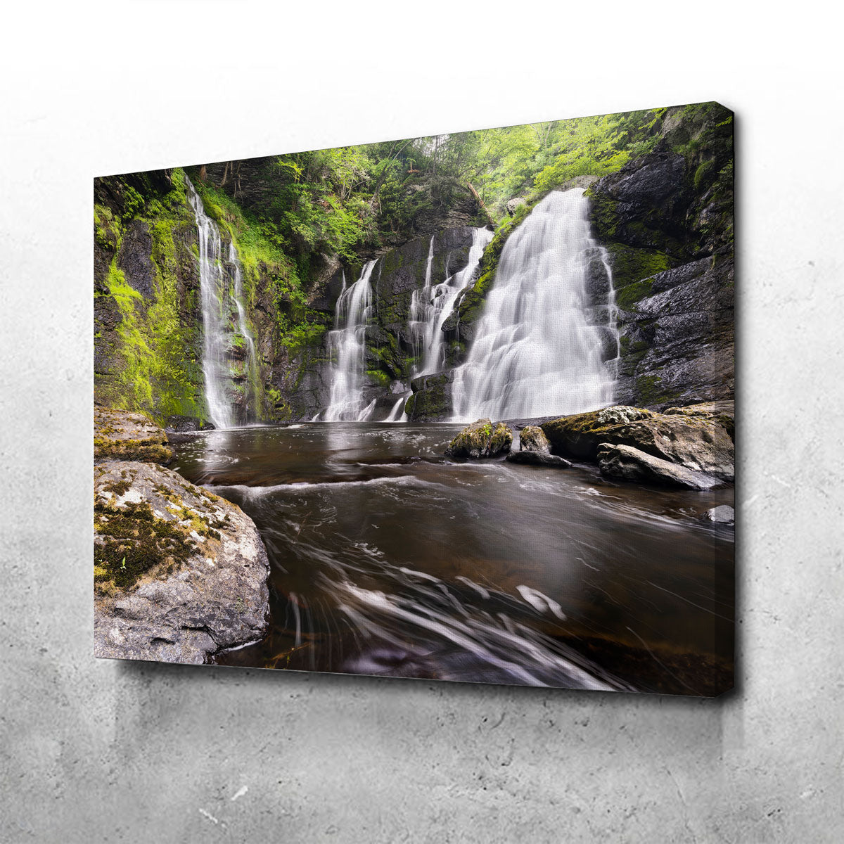 Exquisite Serenity Wall Art by Shaun Mayer