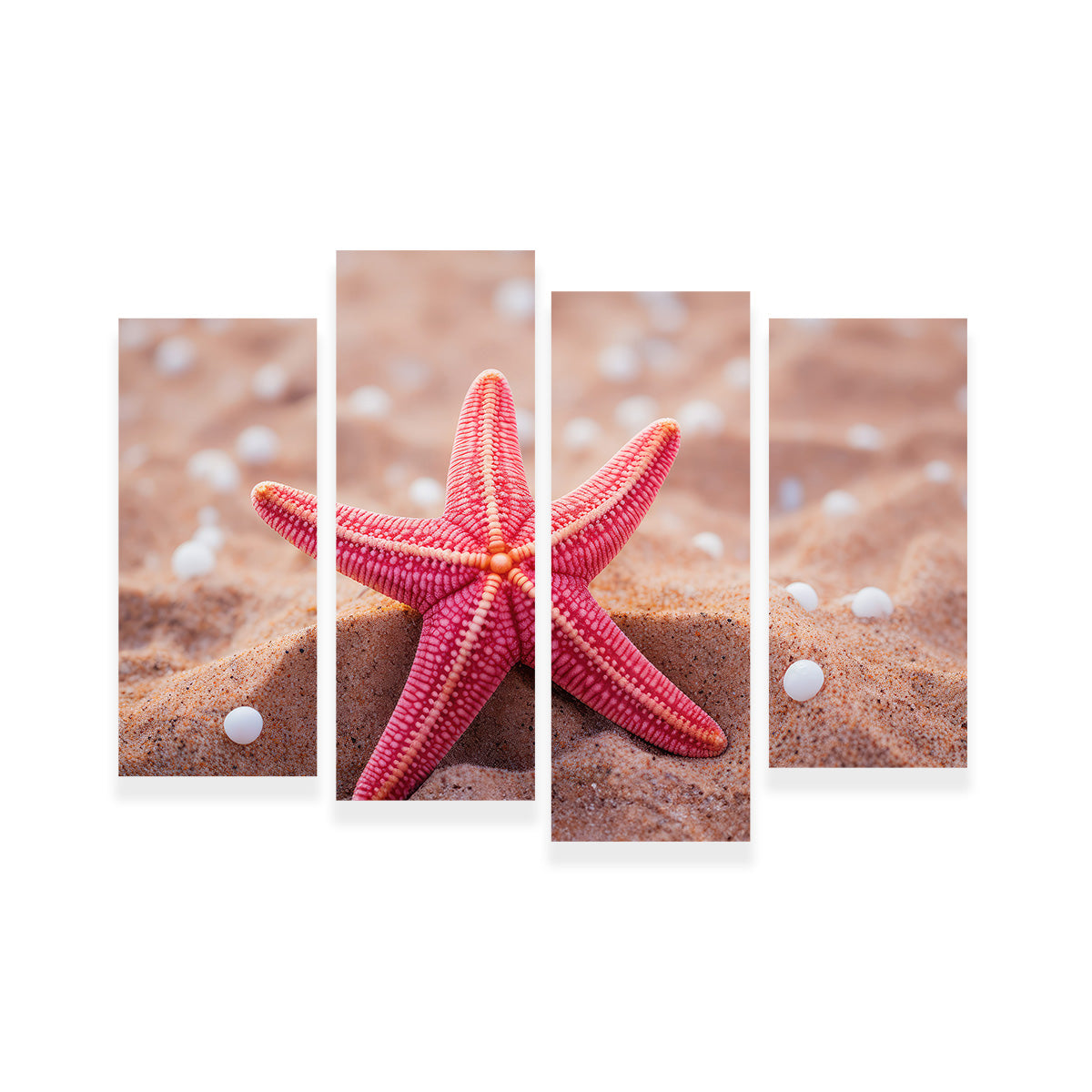 Gorgeous Pink Star Fish Canvas Print