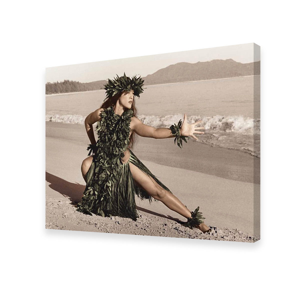Exquisite Hula Dancer Wall Art for Stunning Home Decor