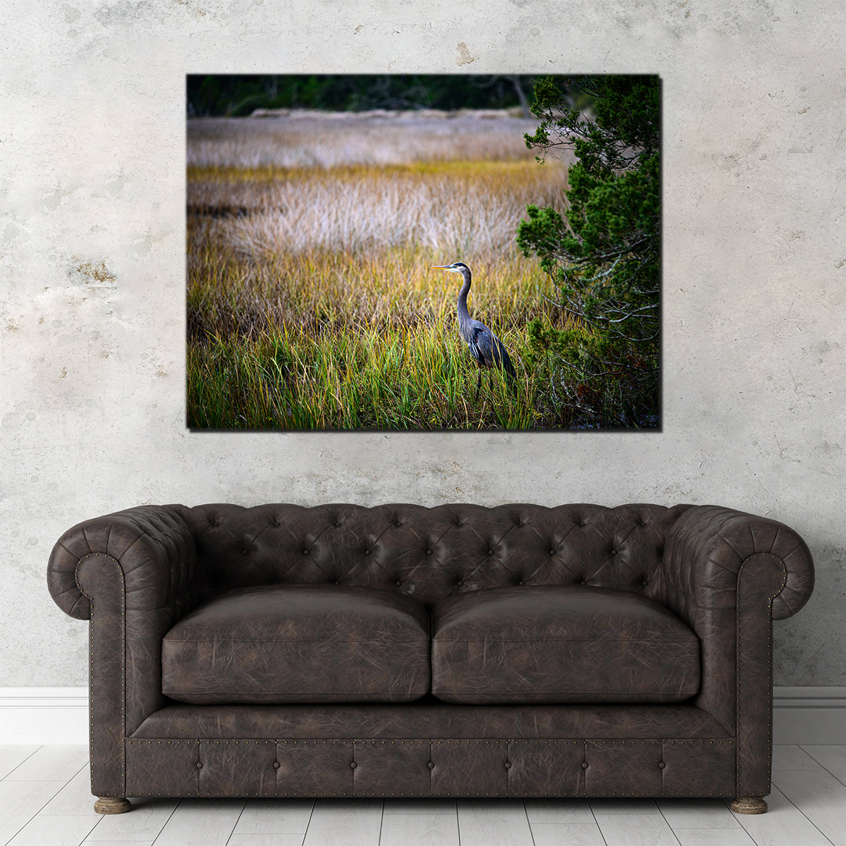 Stunning Heron Jekyll Island Wall Art by Barry Pack