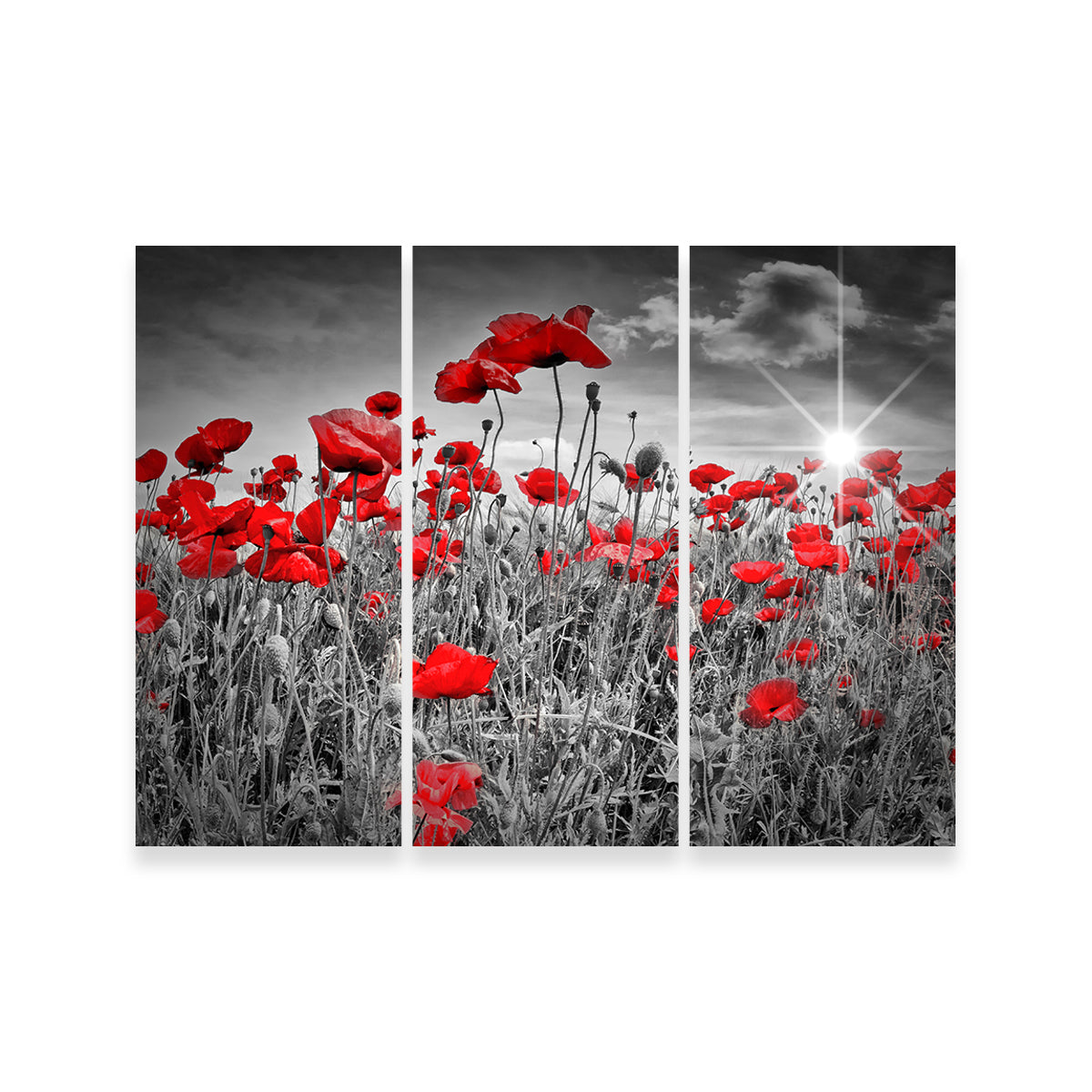Stunning Idyllic Field of Poppies with Sun Wall Art for Home Decor